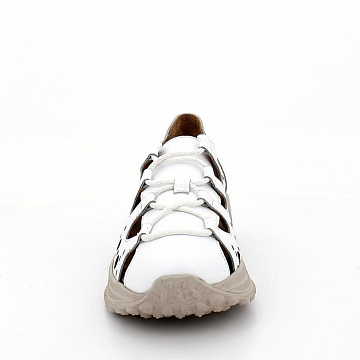 Аскалини
